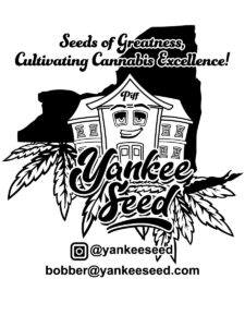 Yankee Seed
