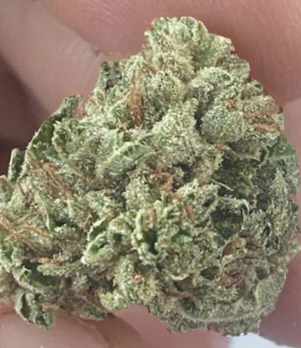 Ice Cream Haze regular (10)